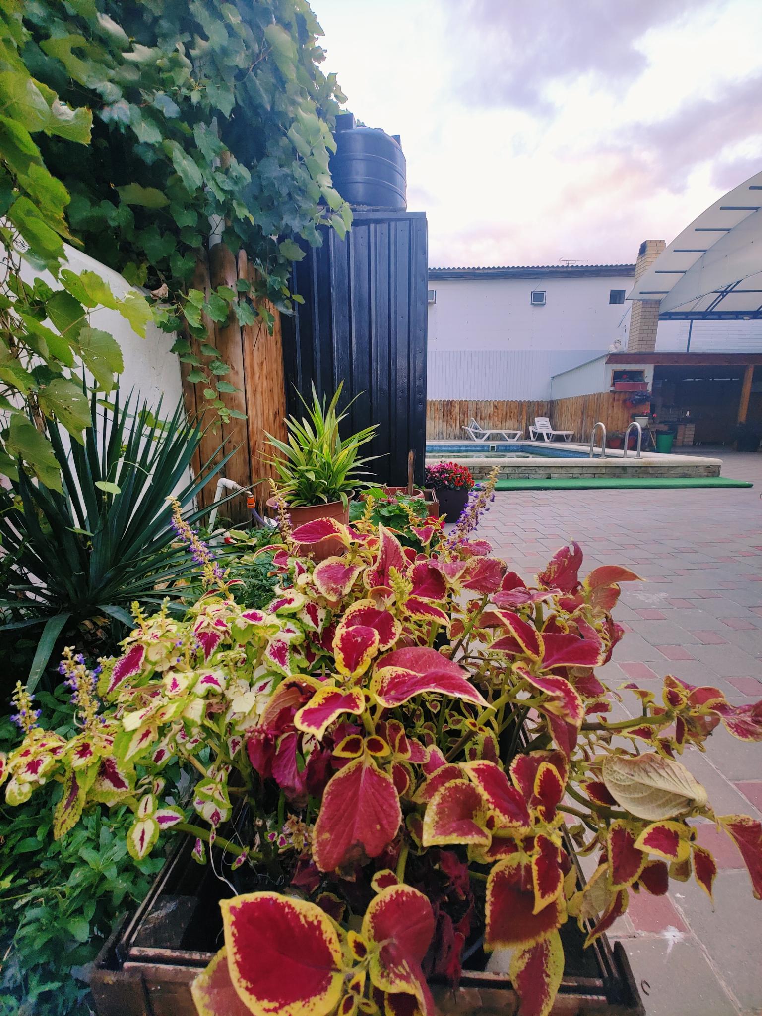 Фото Элегант