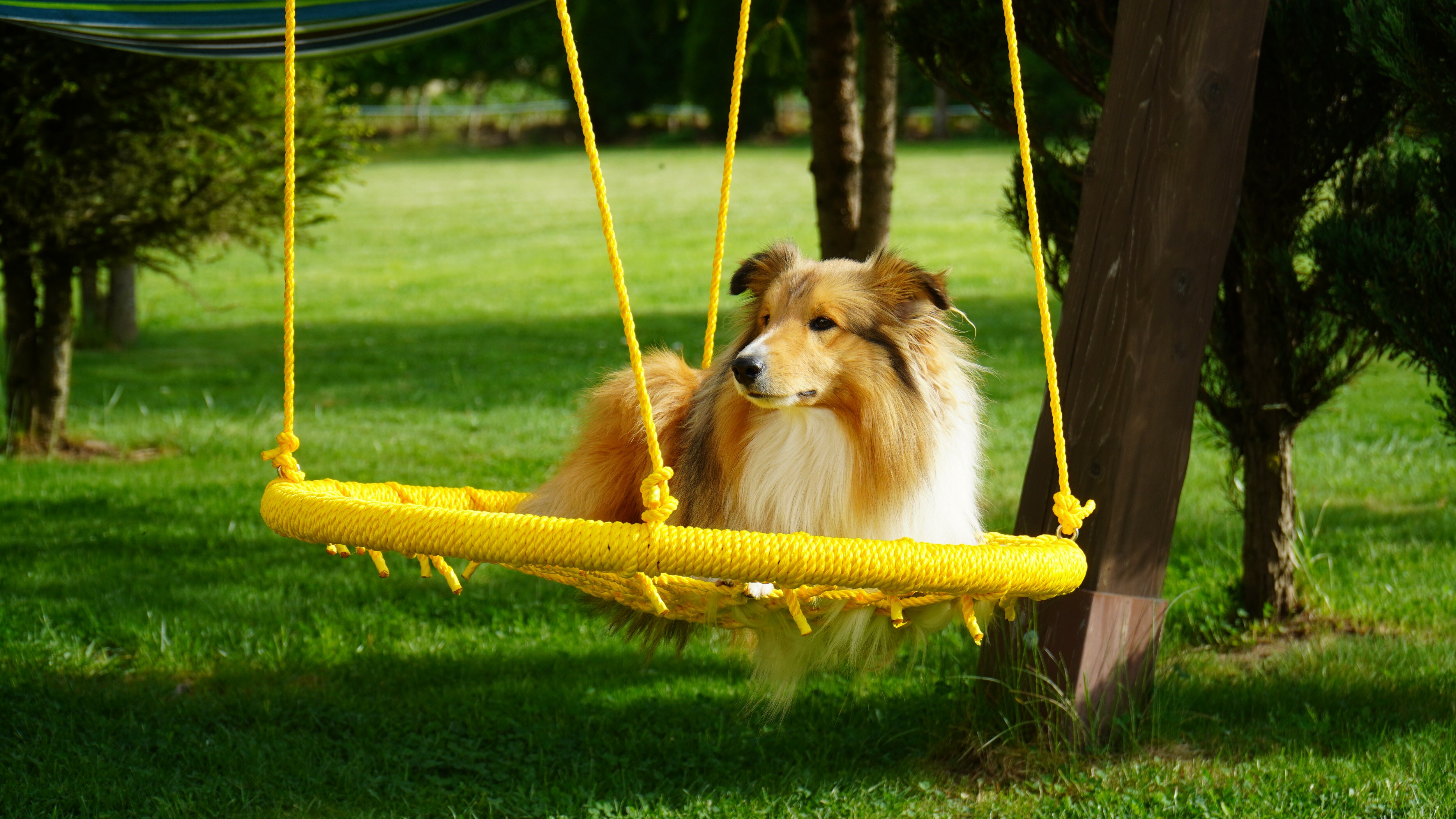 Фото Горное Шале