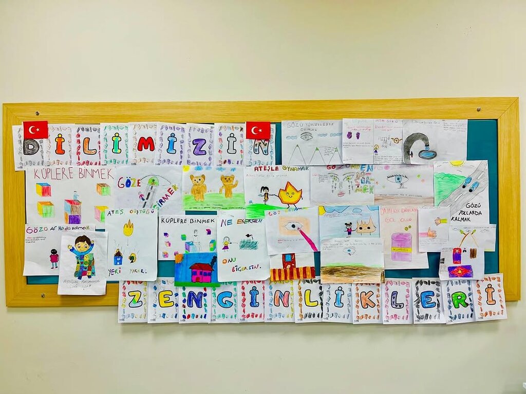 Primary school Canakca Middle School, Catalca, photo