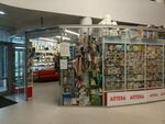 Apteka 24 (Arkhangelsk, Voskresenskaya Street, 59), farmacia
