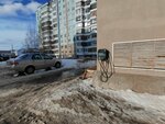 Яндекс.Заправки (Moskovskiy Avenue, 49с1), electric car charging station