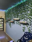 Сиджей Smoke (posyolok gorodskogo tipa Alekseyevka, Nevskaya ulitsa, 10Б), vape shop
