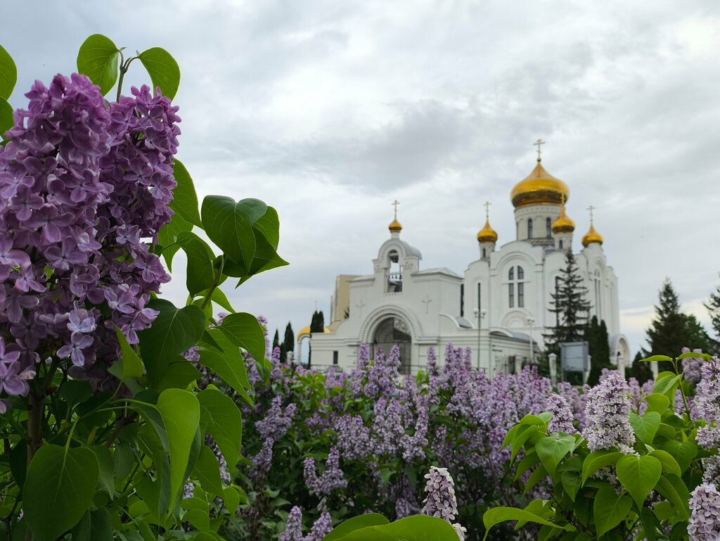 كنيسة أرثوذكسية Rozhdestva Khristova Church ، ، صورة
