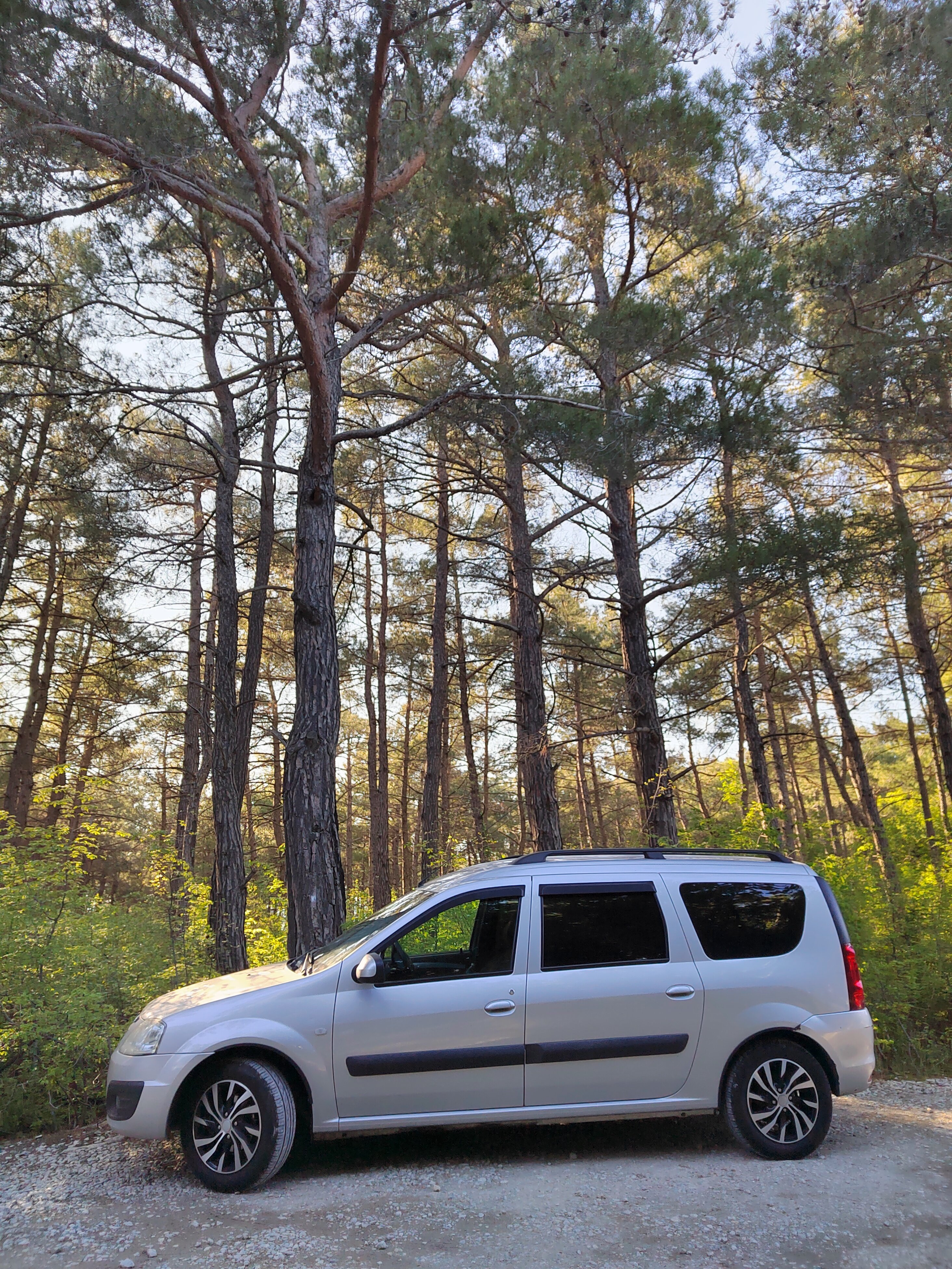 Фото Сосновка