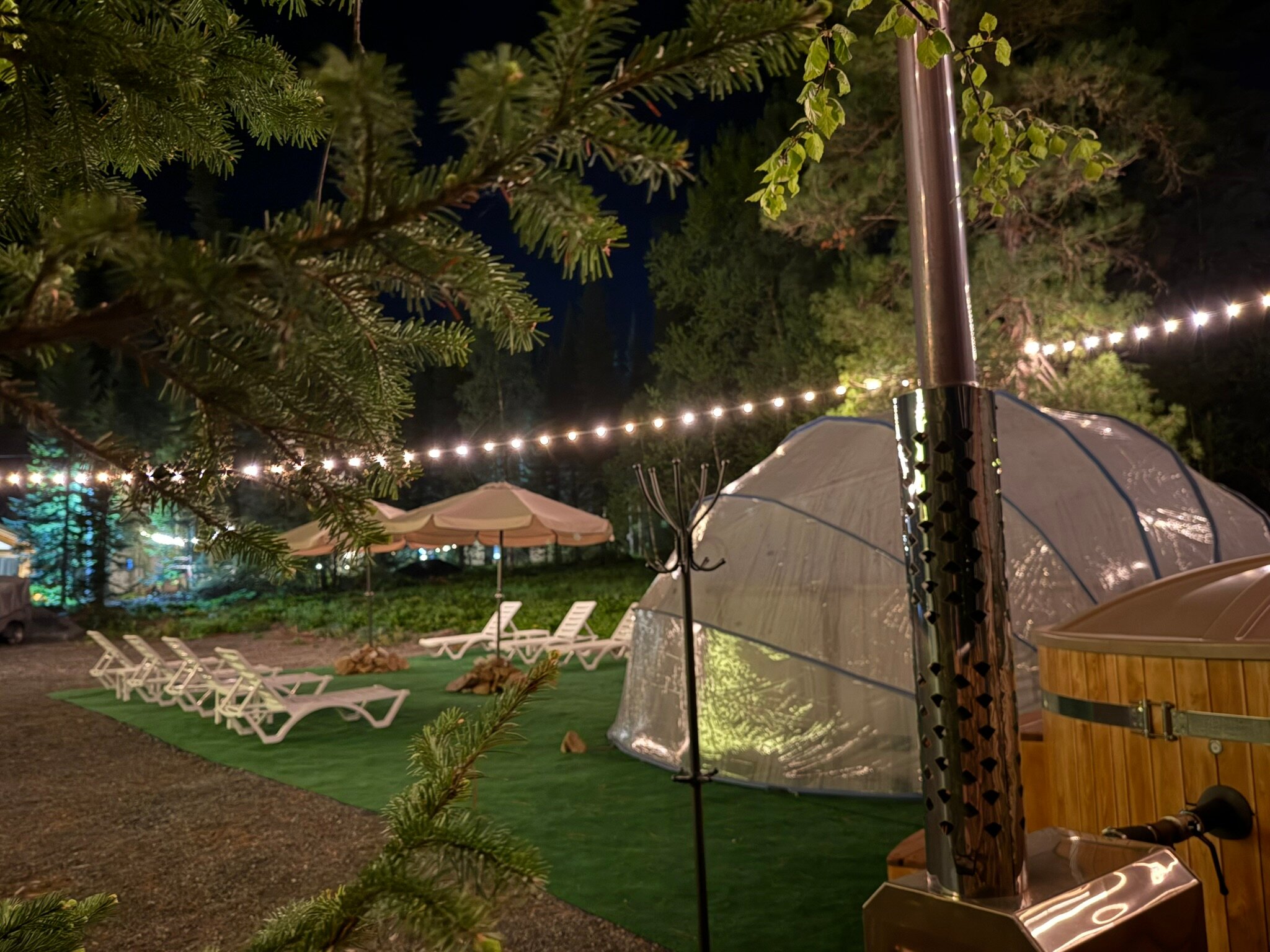 Фото Кедрофф-Геш