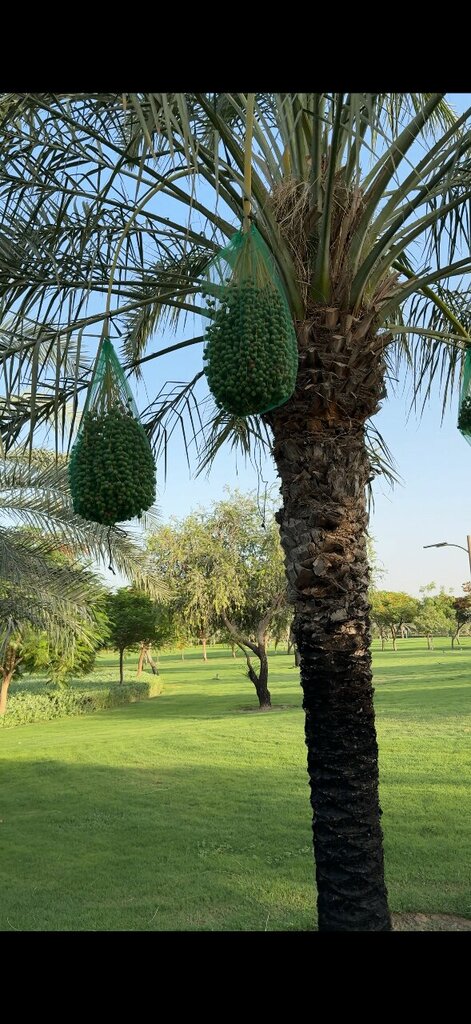 Ticket office Quranic Park, Gate 2, Dubai, photo