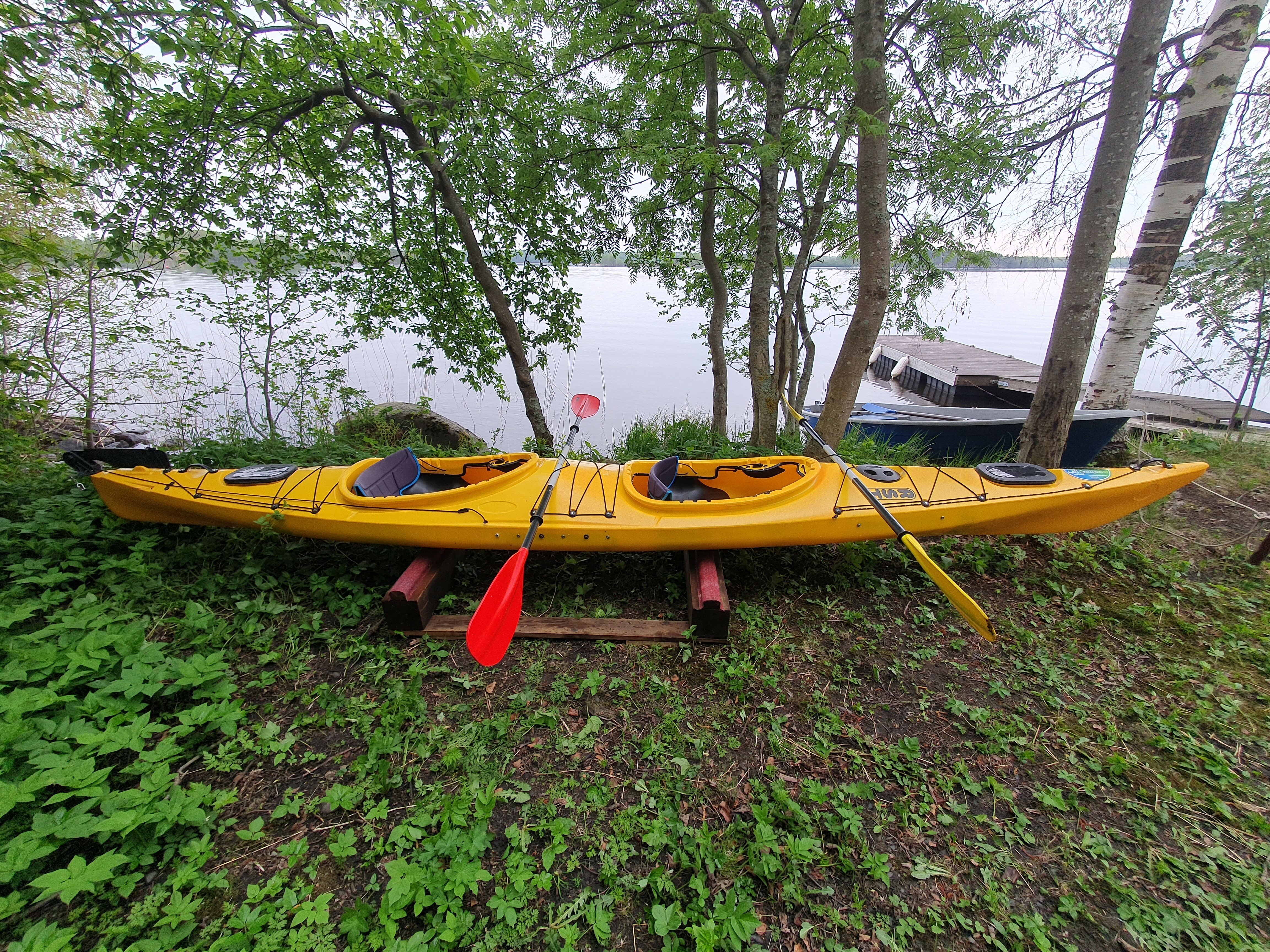 Фото Онегин