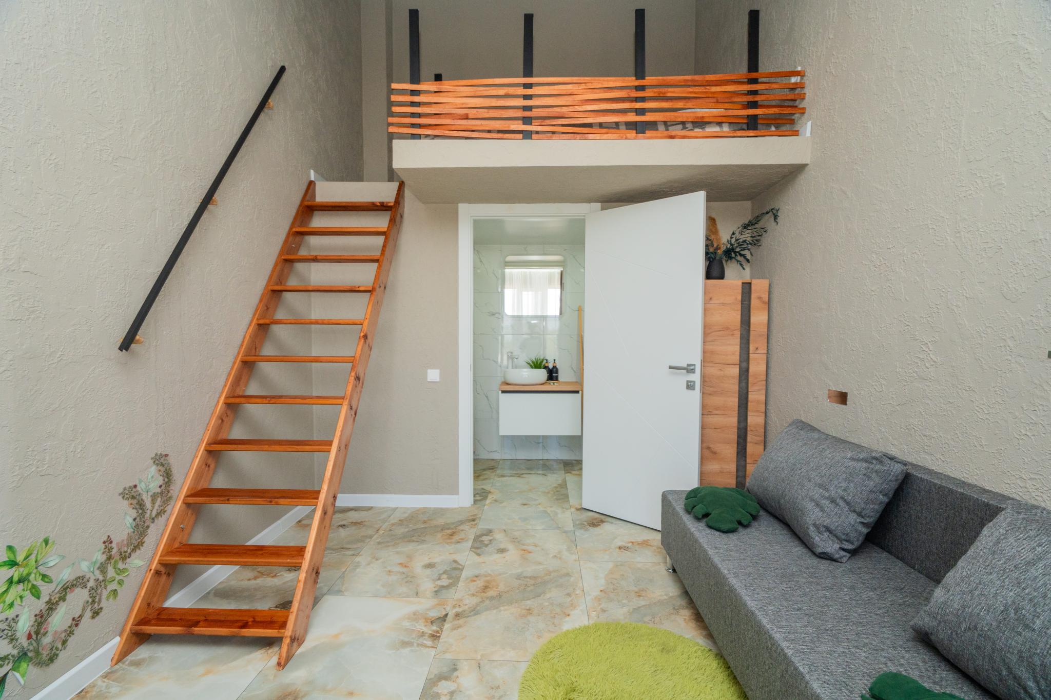 Фото Папоротник