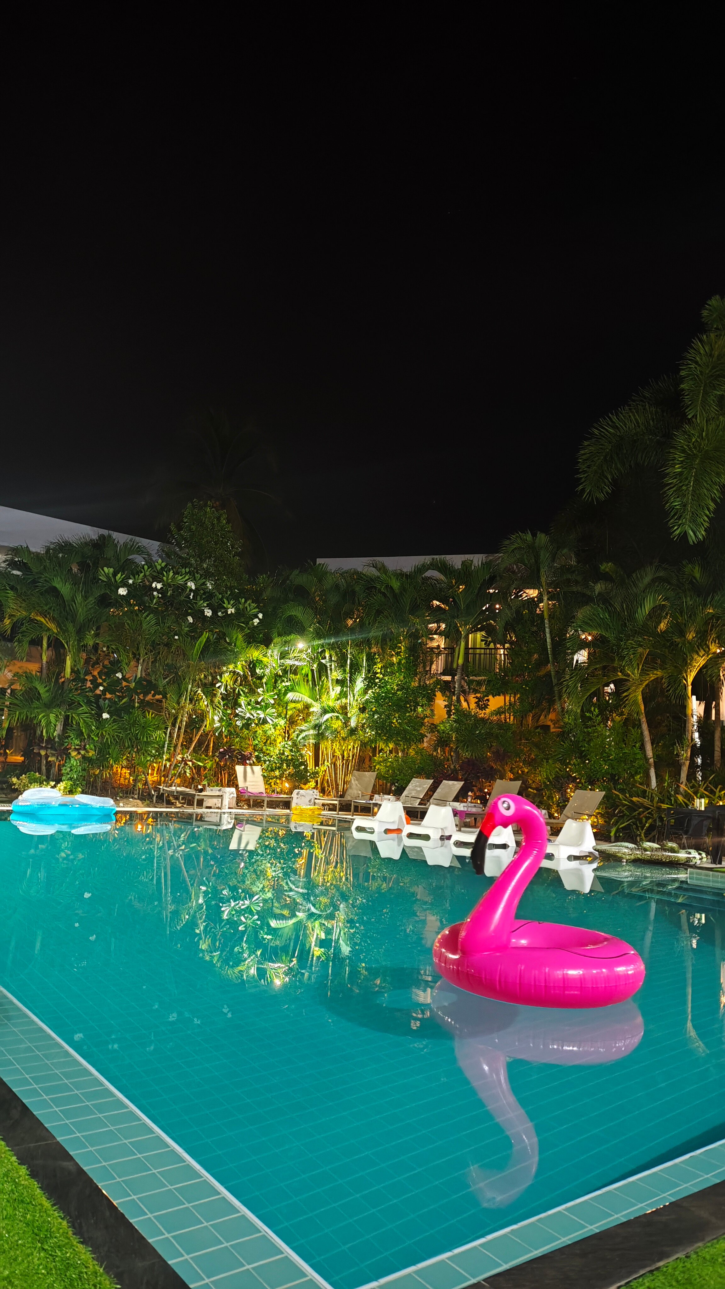 Фото The Serenity Resort