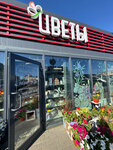 Подарок для души (derevnya Veligonty, Ropshinskoye shosse, 20А), flower shop