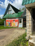 Здоровье (Leningrad Region, Gatchinskiy District, sadovodcheskiy massiv Krasnitsy, ST Zdorovye, Tsentralny proyezd), grocery