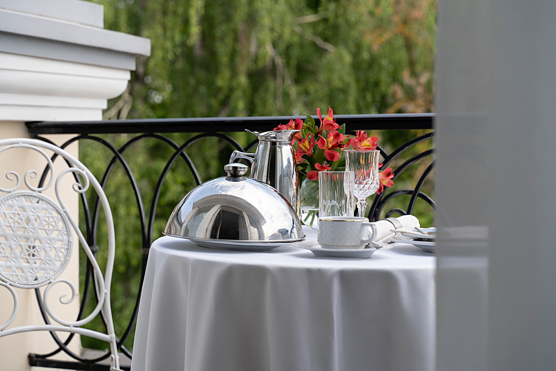 Фото Звезда