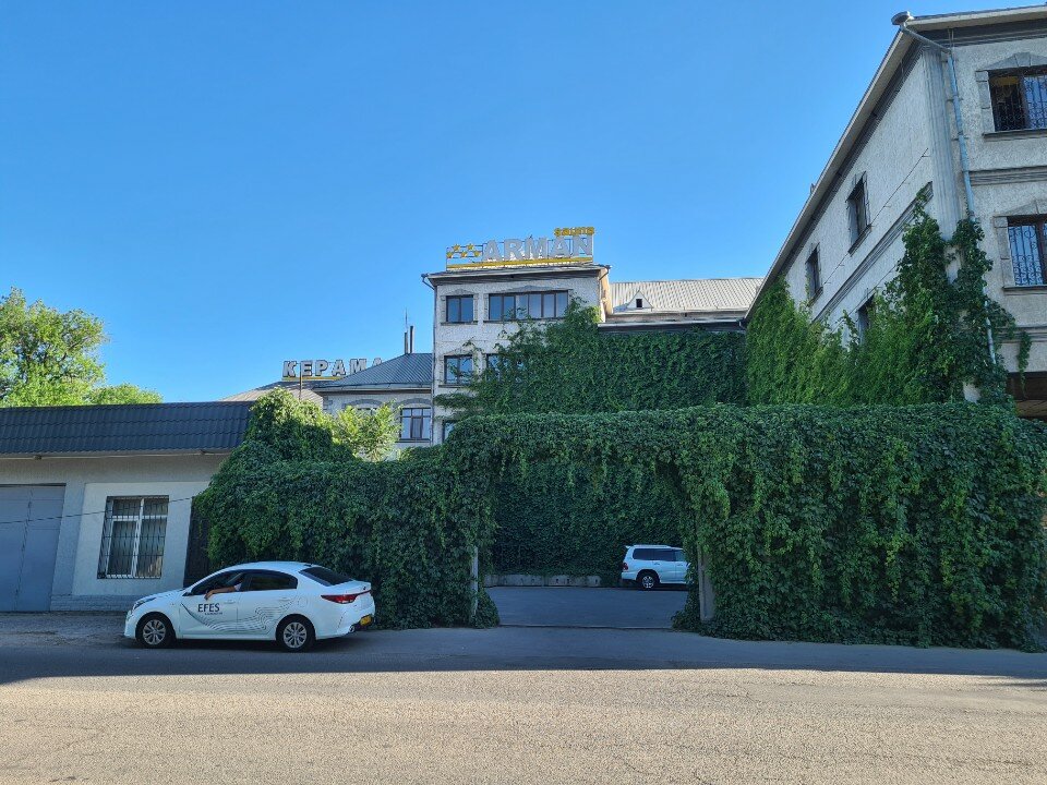 Қынаптар мен вульвалардың фотосуреттері