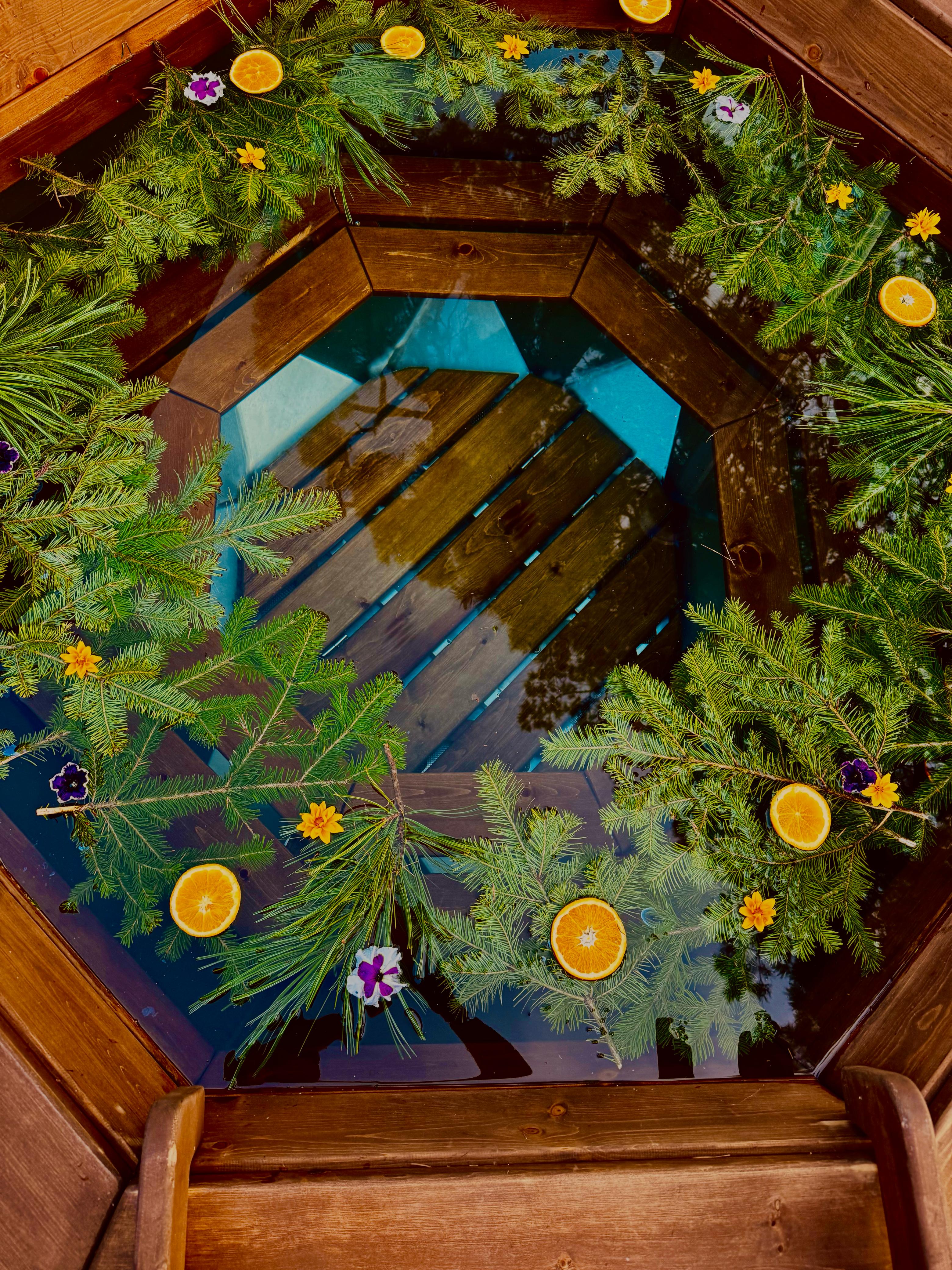 Фото Рыжий кот