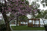 Фото Liuying Hotel