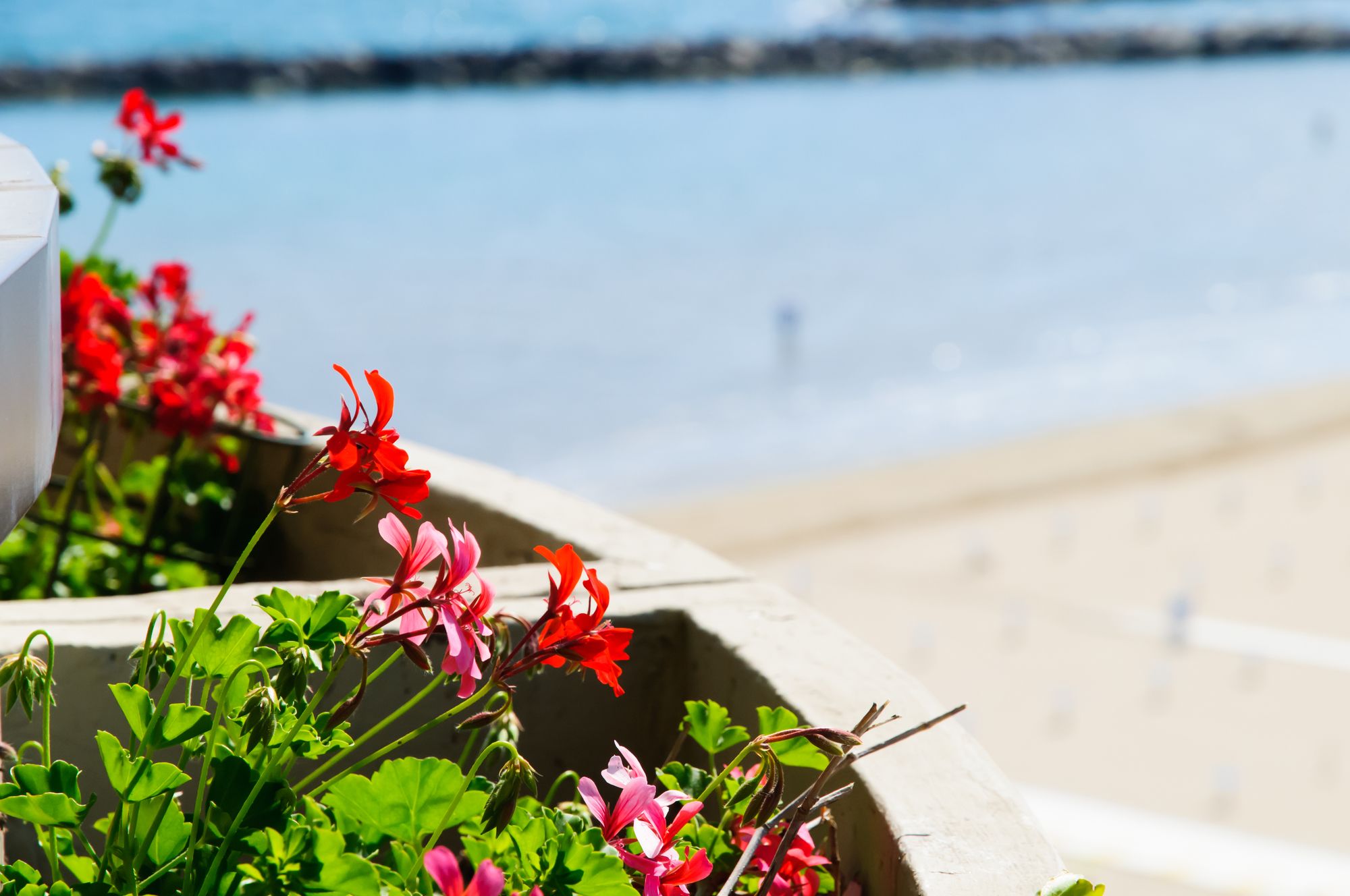 Фото Residence Belvedere Vista