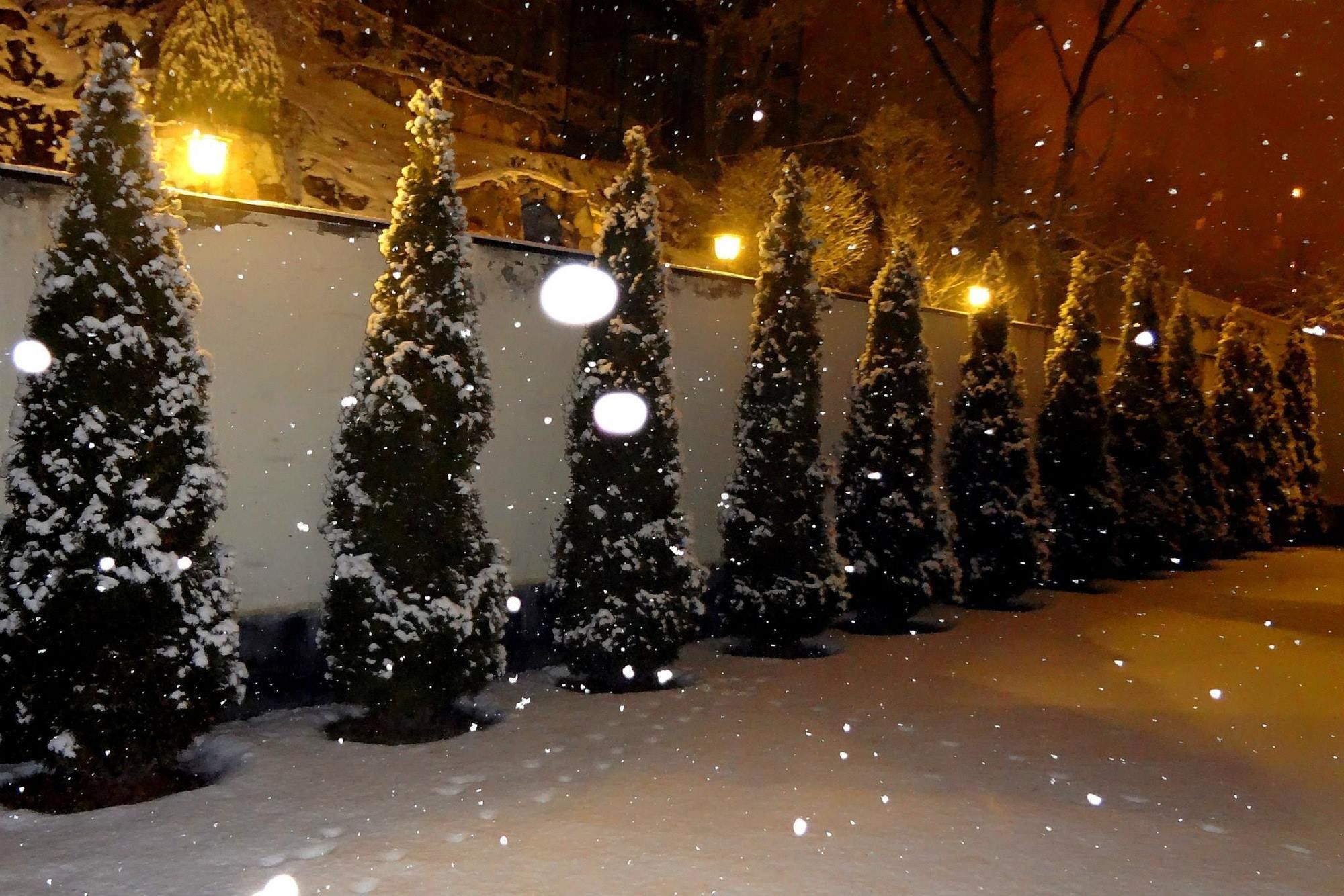 Фото Гостиничный комплекс Park Avenue