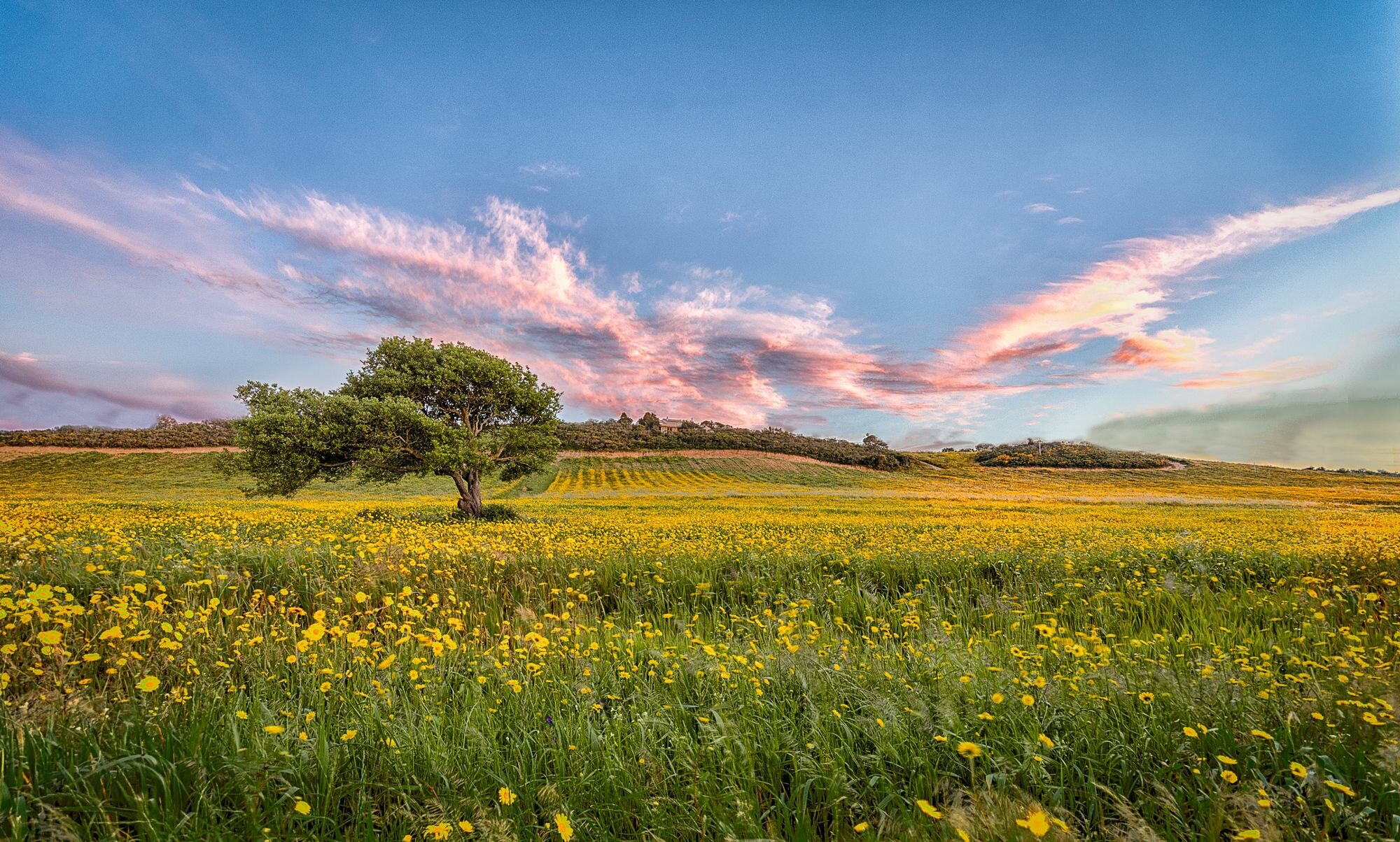 Фото Tenuta Petra Bianca