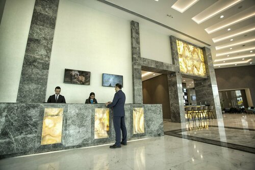Гостиница Dedeman Tokat в Токате