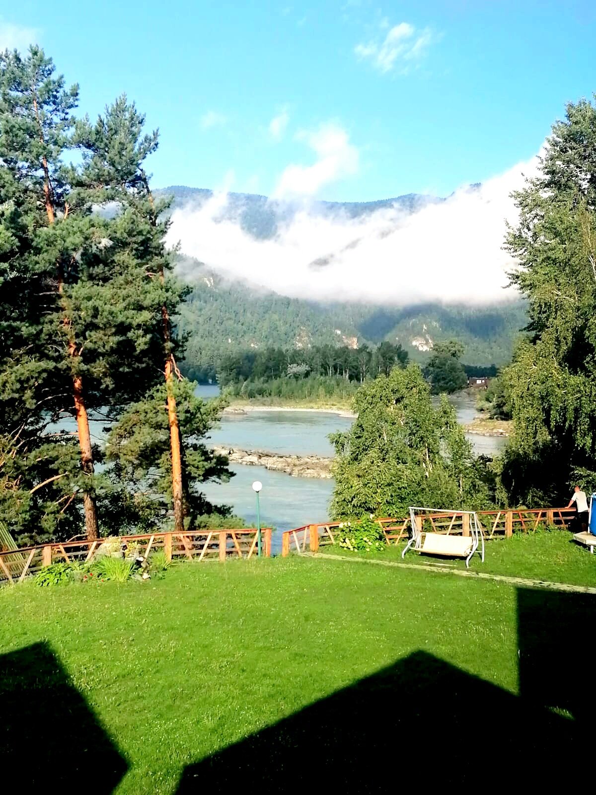 Фото Альбатрос