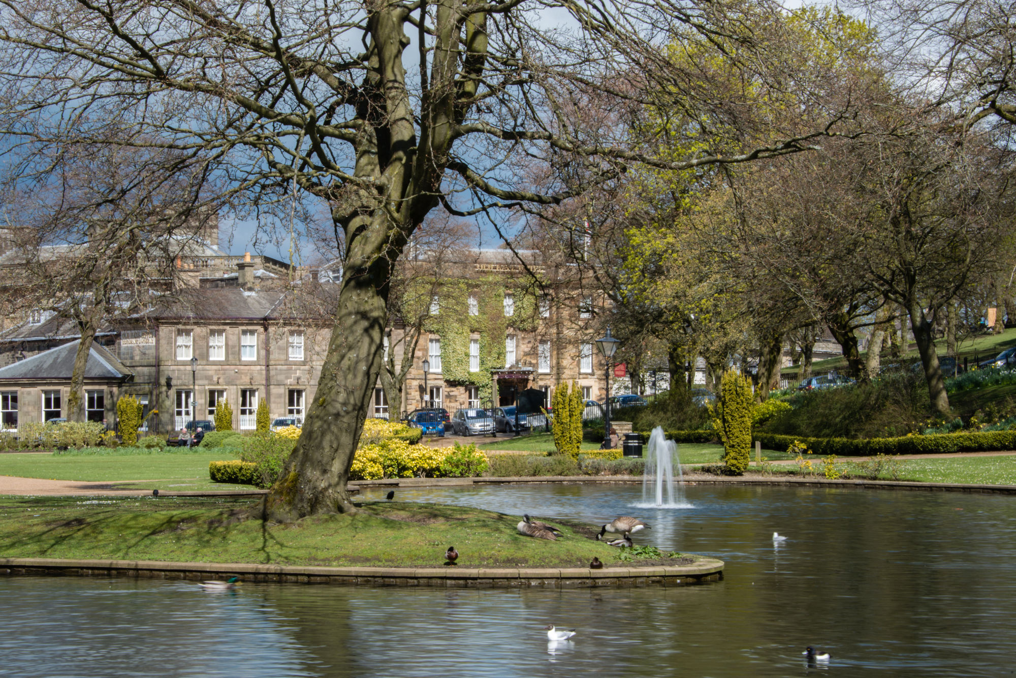 Фото Old Hall Hotel