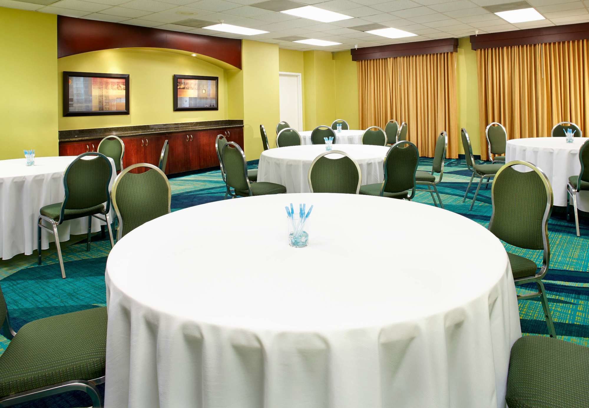 Фото SpringHill Suites Houston Medical Center/NRG Park