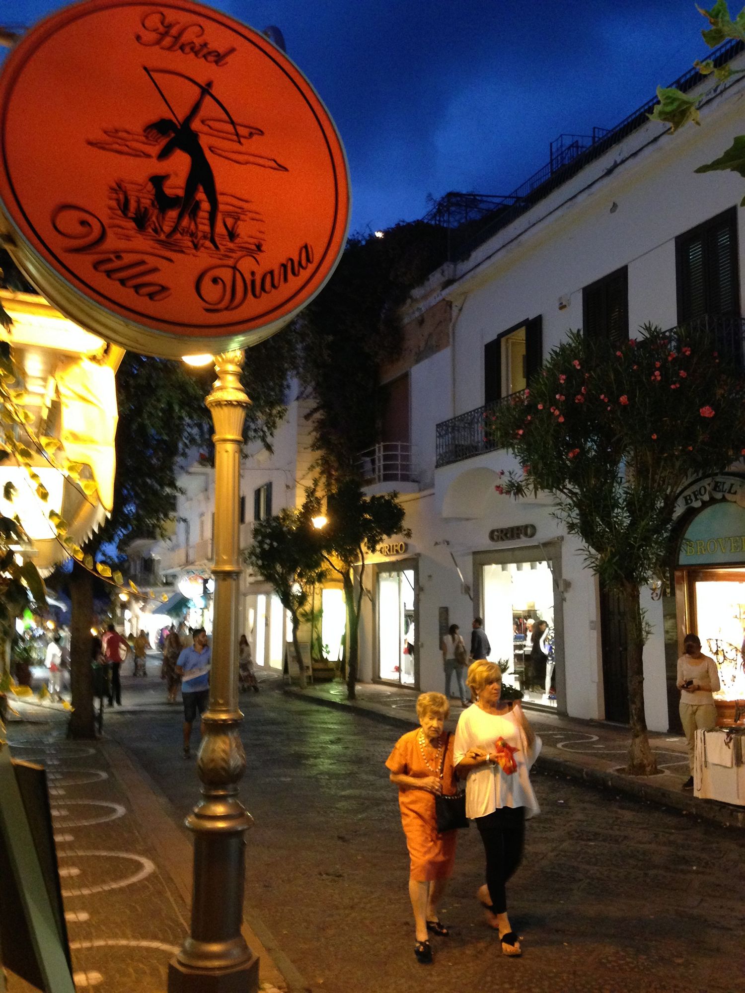 Фото Hotel Villa Diana