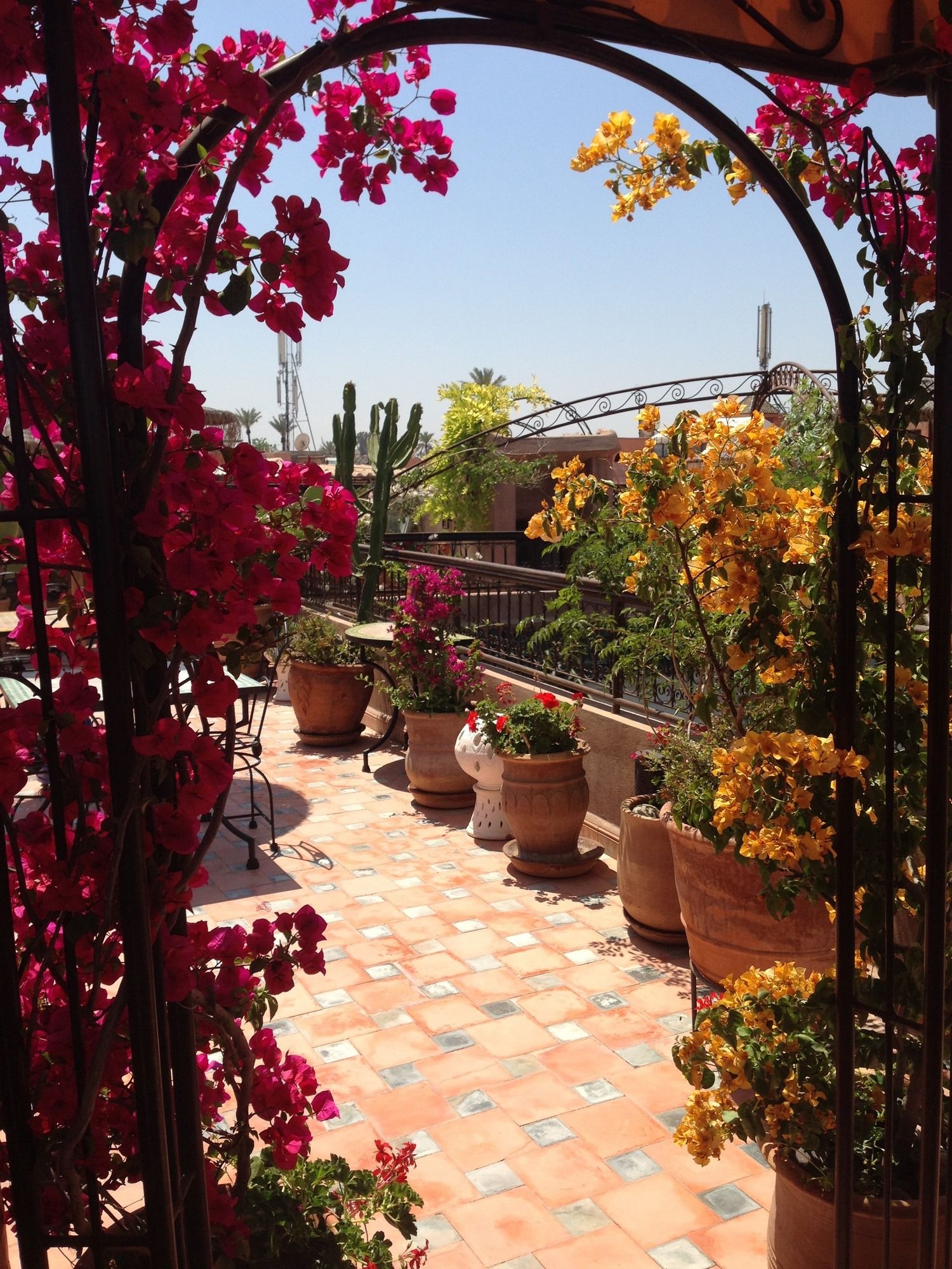 Фото Riad Mehdia