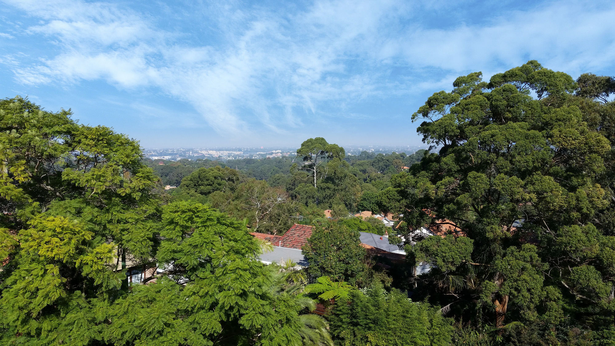 Фото Comfort Inn North Shore