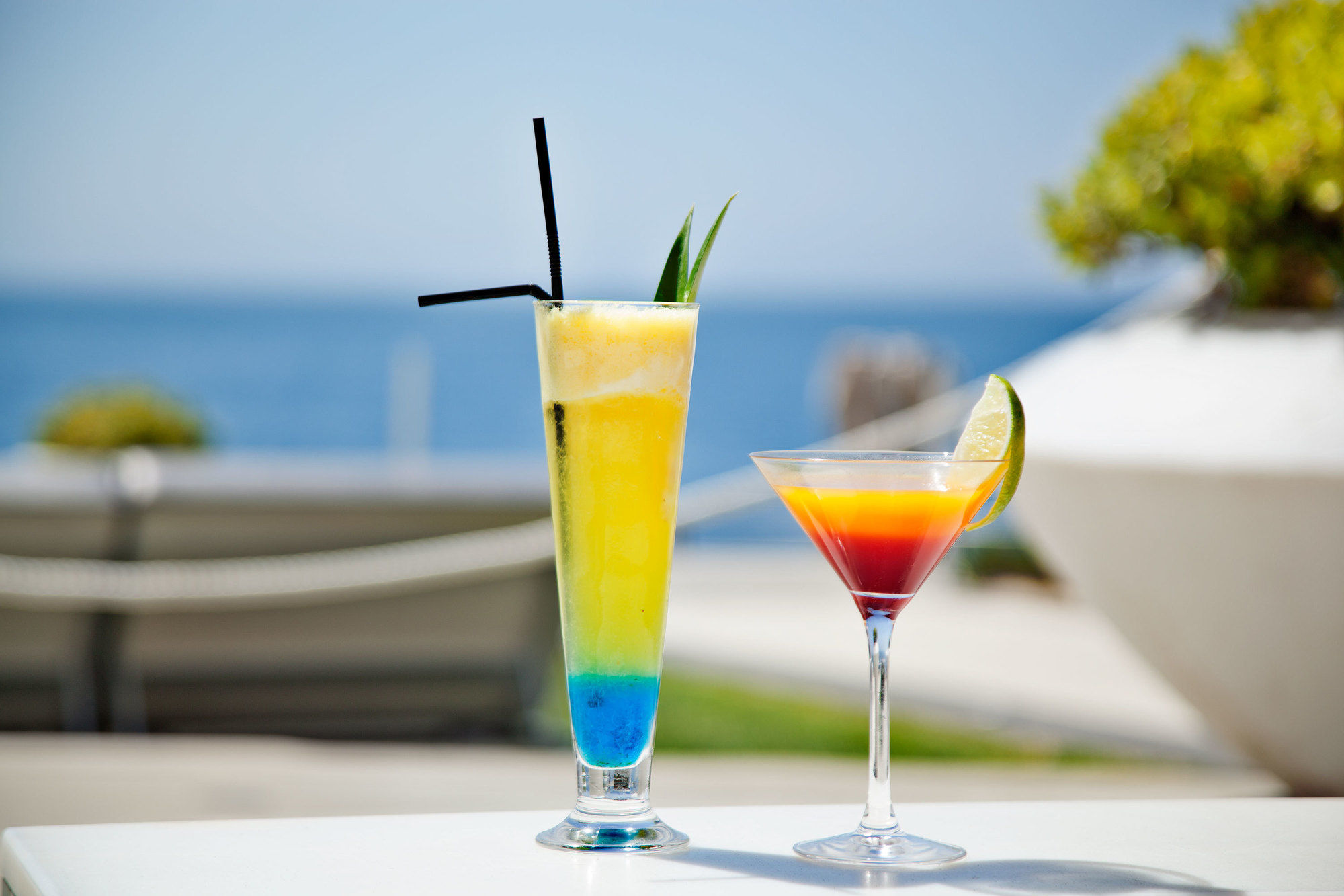 Фото Farol Hotel