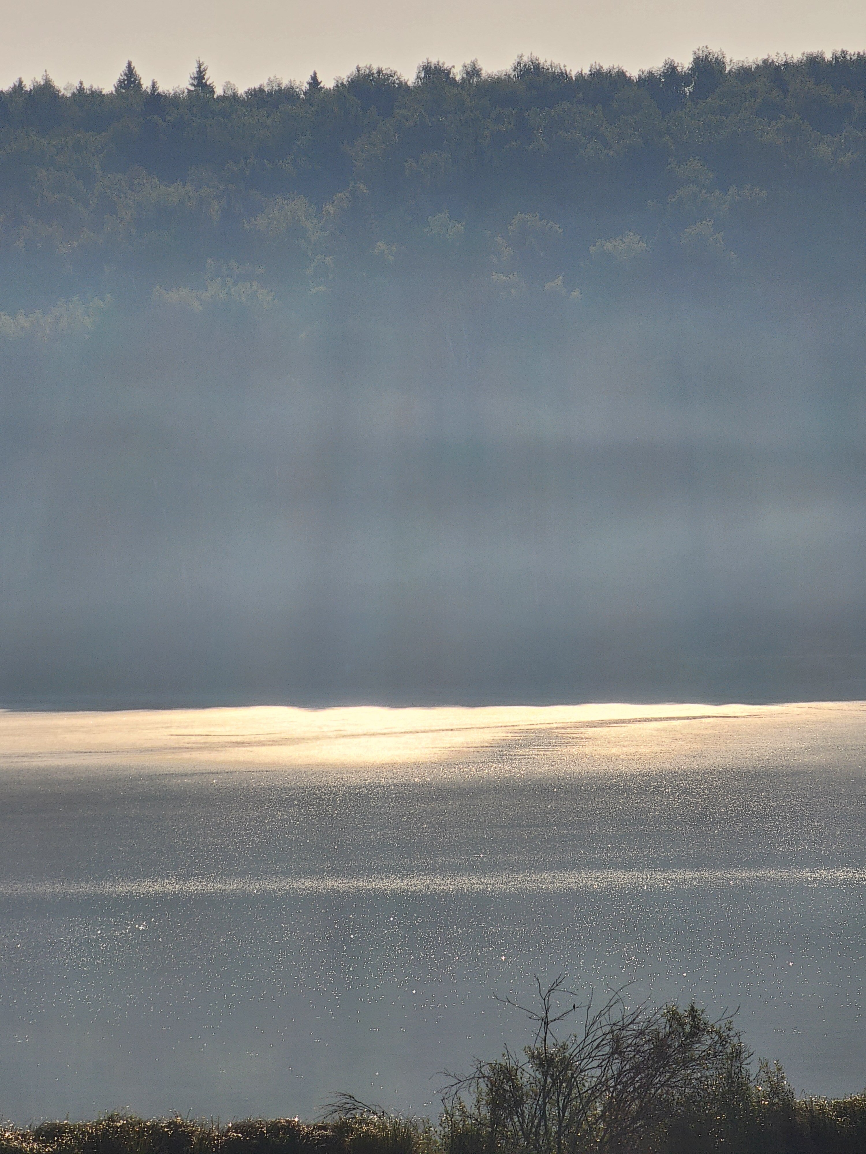 Фото Вондига парк