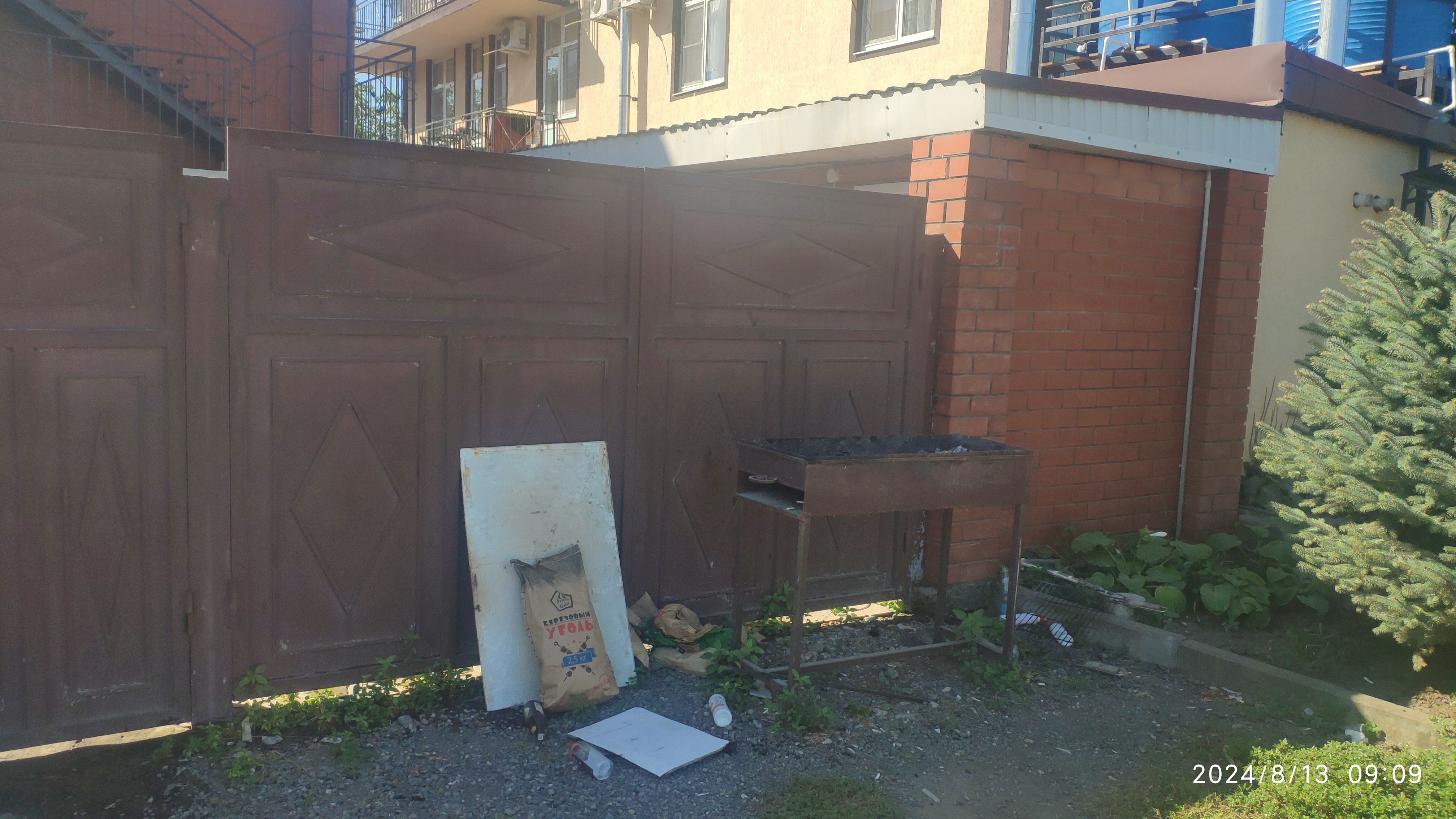 Фото Калатея