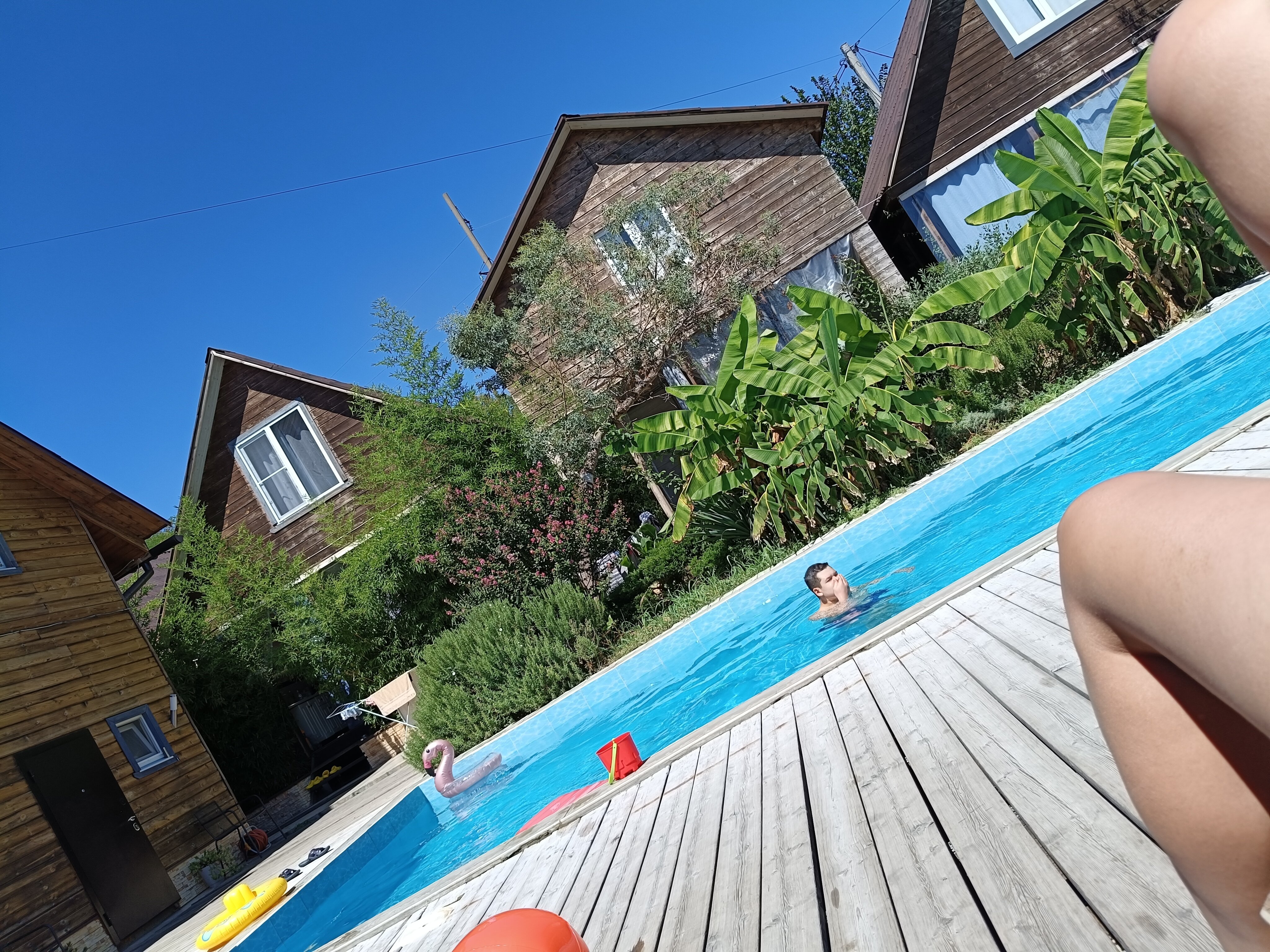 Фото Лесная поляна