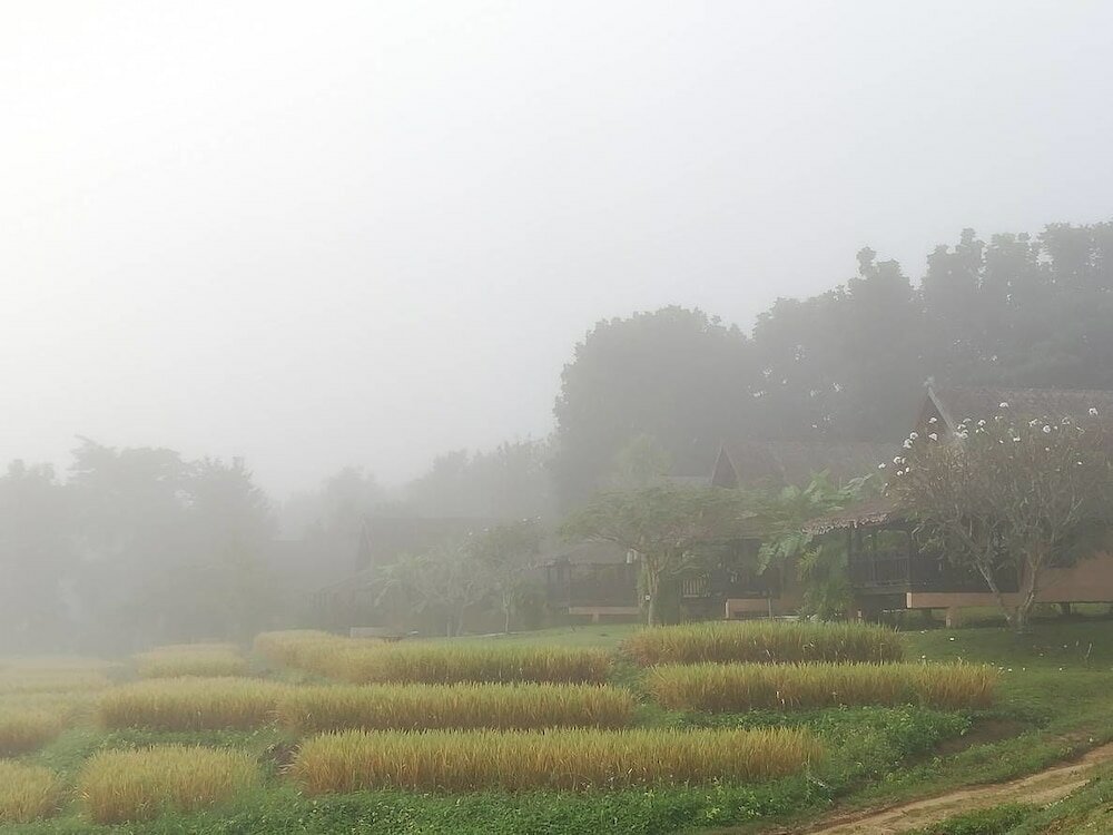Фото Phu Pai Art Resort