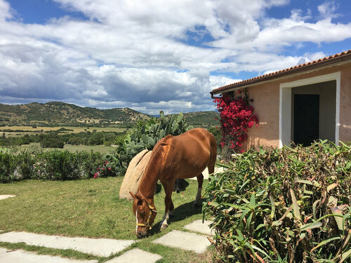 Гостиница Borgo di Campagna