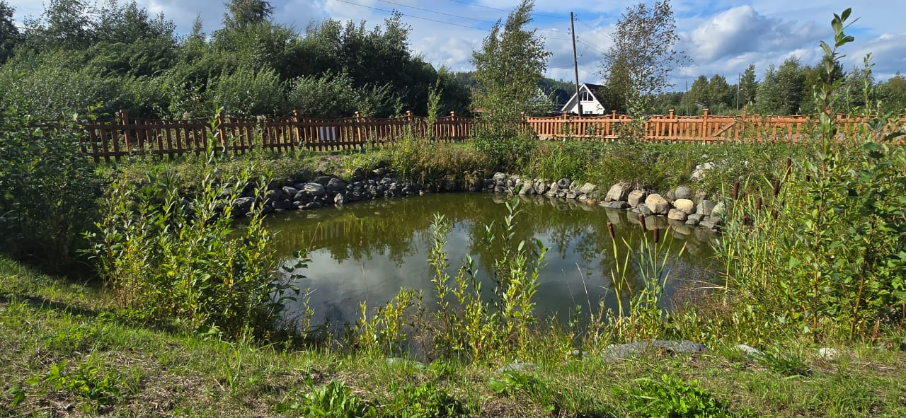 Фото Ладожские этюды