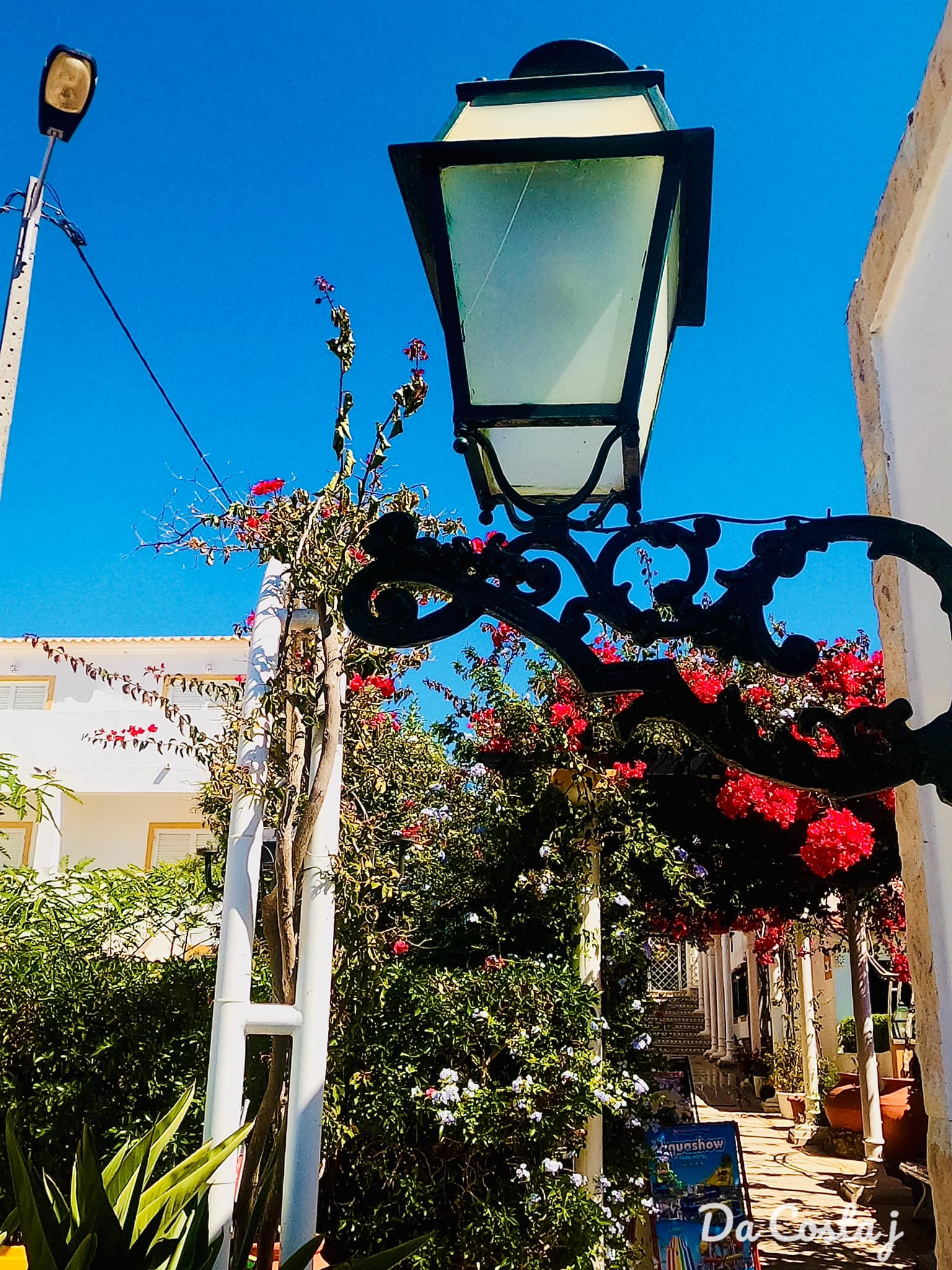 Фото Отель Muthu Balaia Sol