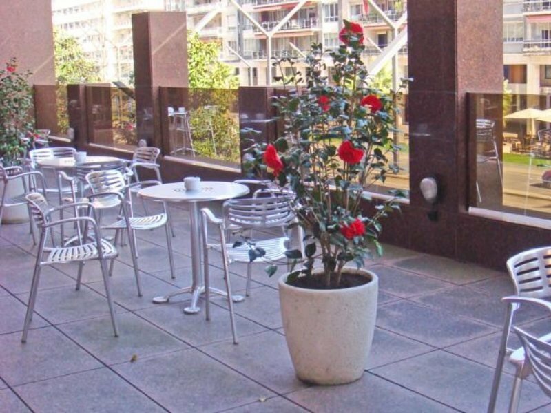 Фото 90603749475