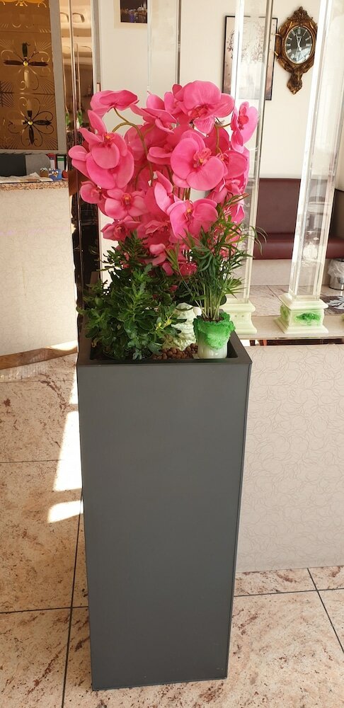 Фото Hotel Fortune