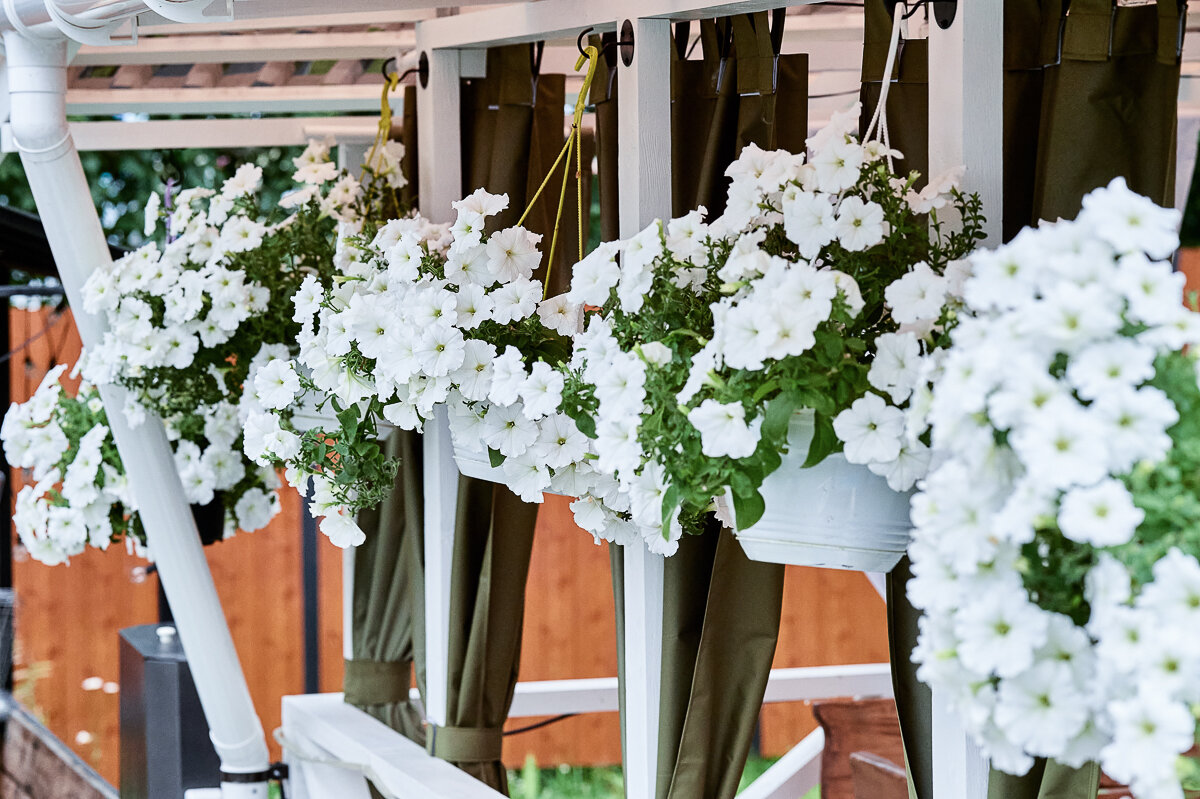 Фото Два дома