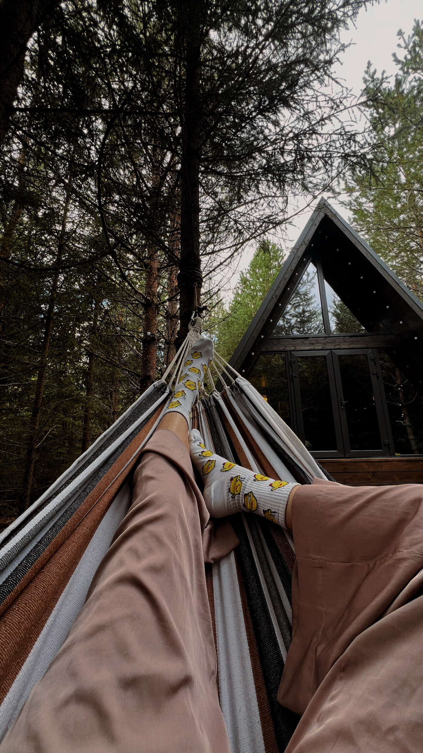 Фото Хвойная Хижина