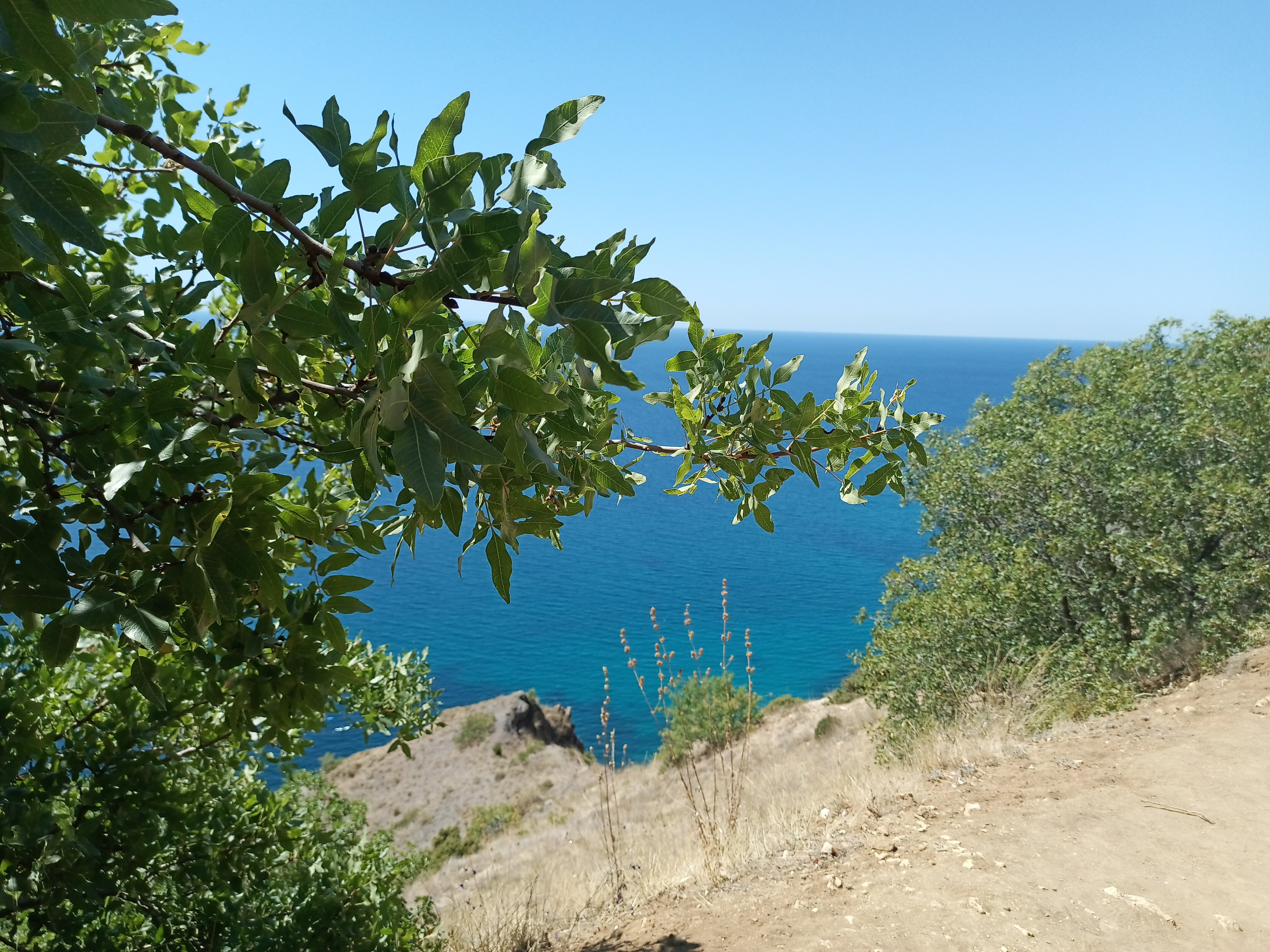 Фото Дивалис