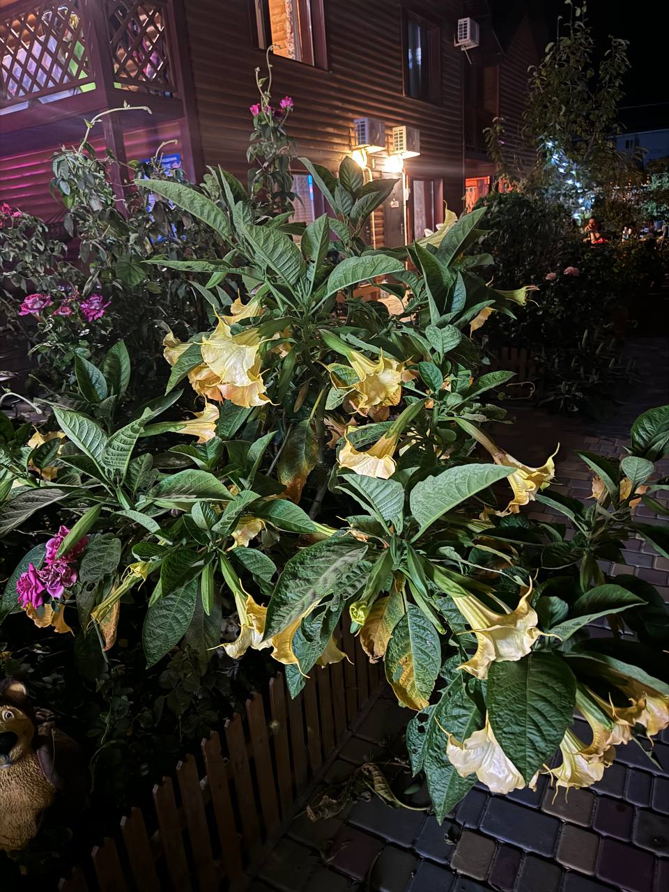 Фото Одиссей