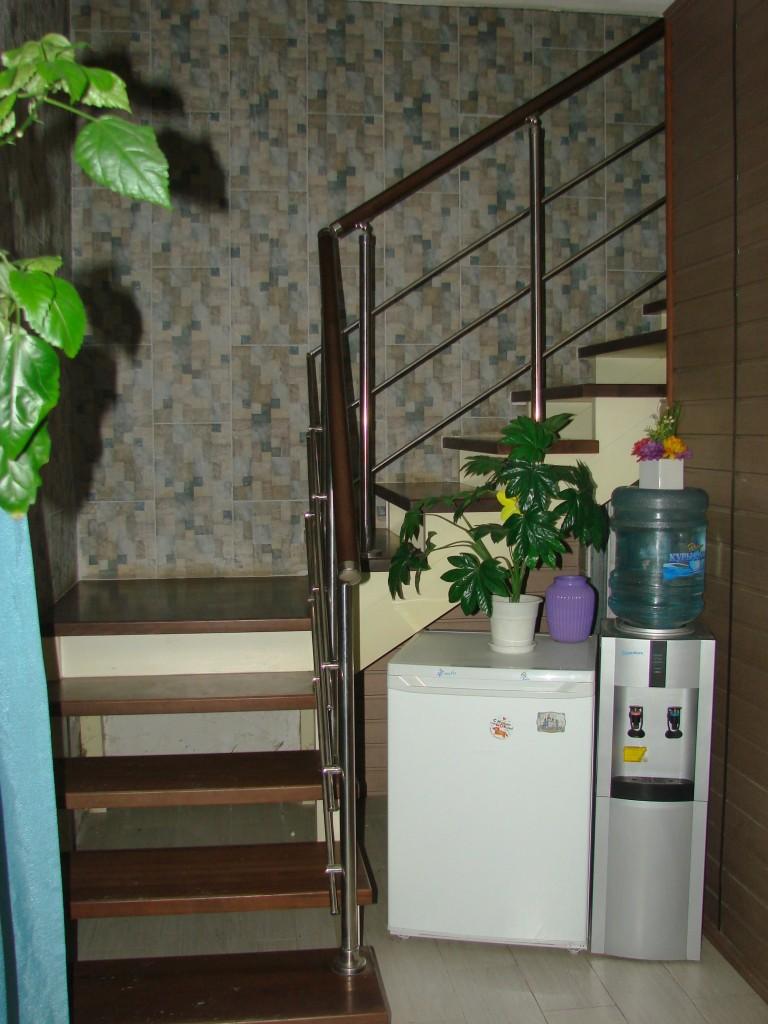 Фото Кипарис