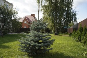 Гостиница Марьяна