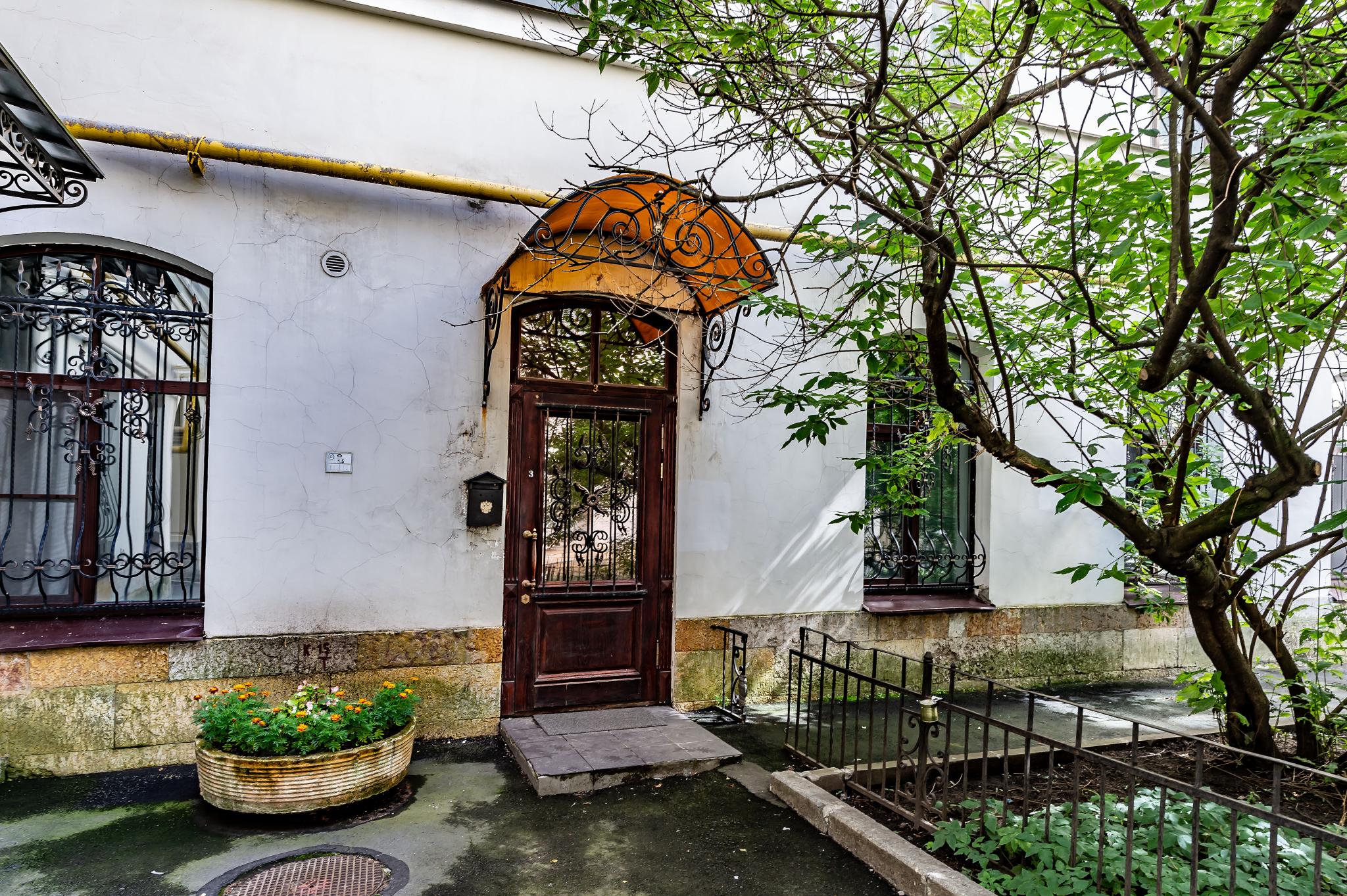 Фото Чайка на Фонтанке