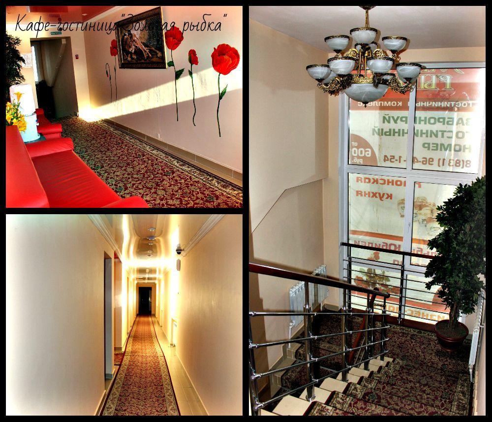 Фото Золотая рыбка