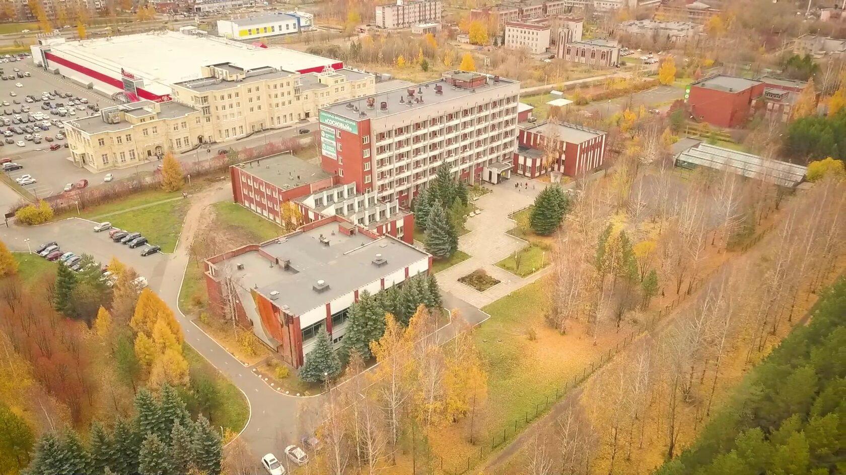 Фото Сосновый