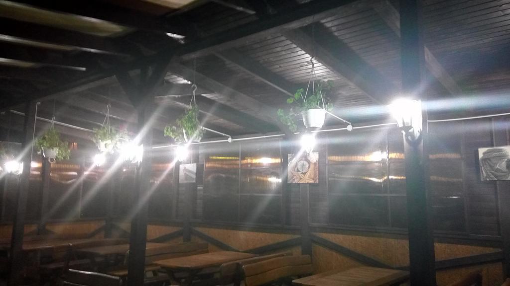 Фото Стрекоза