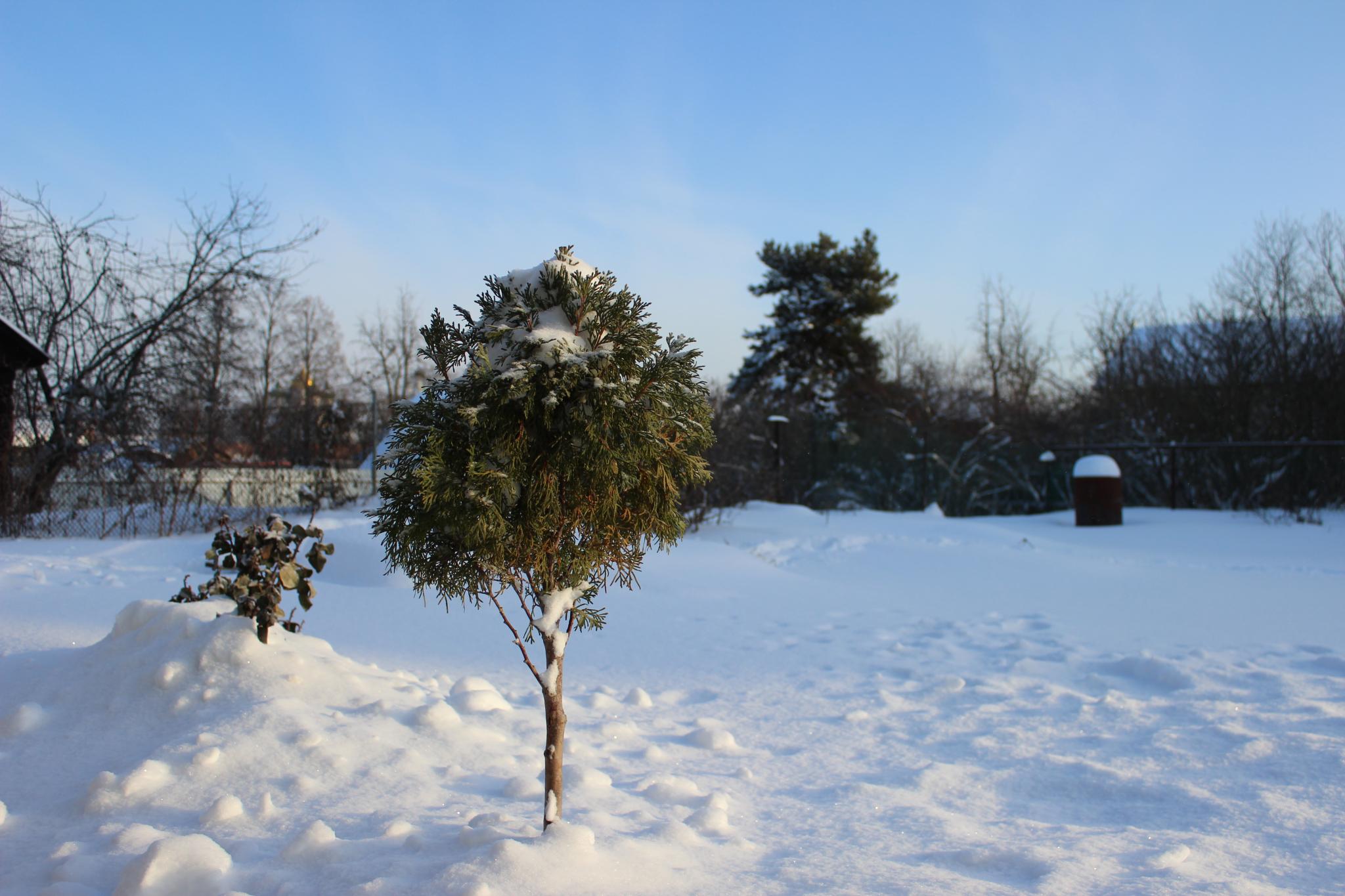 Фото Красноармейская 40